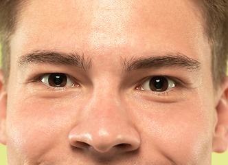 Image showing Caucasian young man\'s close up shot on green background