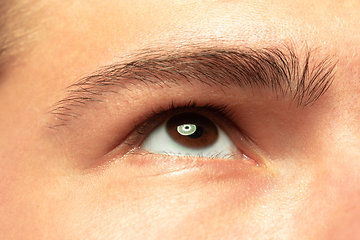 Image showing Caucasian young man\'s close up shot on green background