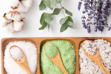 Image showing sea salt with wooden spoons and herbs