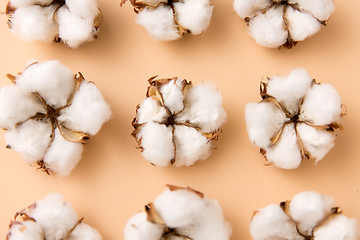 Image showing cotton flowers on beige background