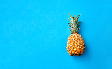 Image showing close up of pineapple on blue background