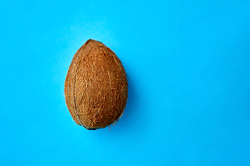 Image showing close up of ripe coconut on blue background