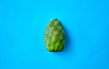 Image showing cactus fruit or prickly pear on blue background