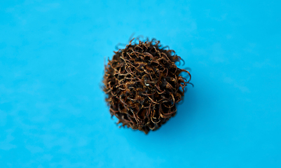 Image showing rambutan fruit on blue background