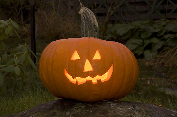 Image showing Pumpkin Halloween