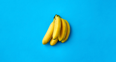 Image showing close up of ripe banana bunch on blue background