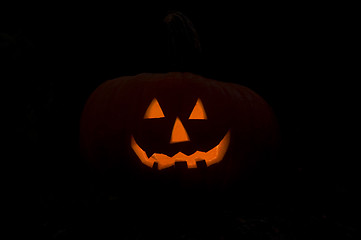 Image showing Dark pumpkin