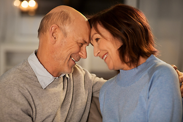 Image showing happy smiling senior couple at home