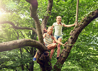Image showing two happy girls climbing up tree in summer park