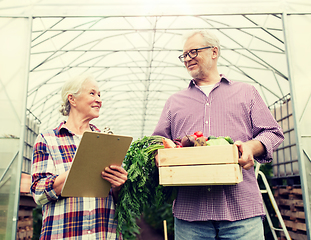 Image showing senior couple with box of vegetables on farm