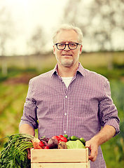 Image showing senior man with box of vegetables on farm