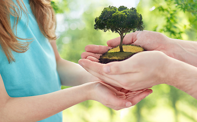 Image showing close up of father's and girl's hands holding tree