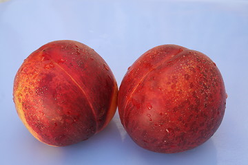 Image showing Sweet nectarine