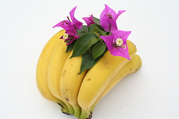 Image showing Bananas