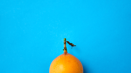 Image showing close up of granadilla on blue background