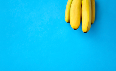 Image showing close up of ripe banana bunch on blue background