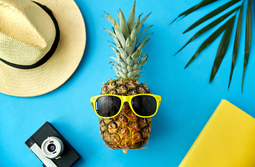 Image showing pineapple in sunglasses, hat, camera and palm leaf