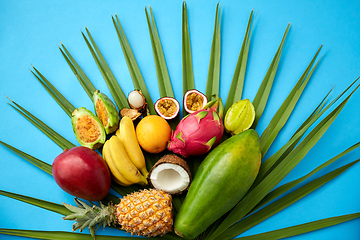 Image showing different exotic fruits on blue background