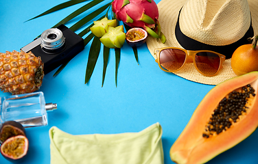 Image showing sunglasses, hat, camera, fruits and clothes