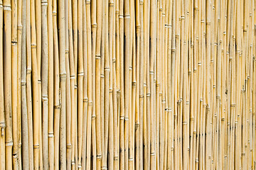 Image showing Bamboo background