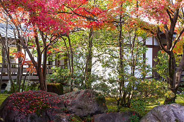 Image showing Japanese garden in Autumn