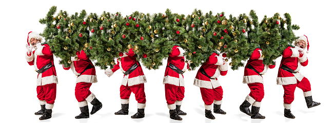 Image showing Happy Christmas Santa Claus carrying a big Christmas tree