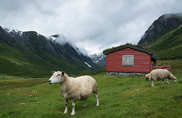 Image showing Landscape in Sogn og Fjordane, Norway