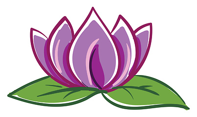 Image showing Pink and purple lotus with two green leafes vector illustration 