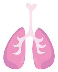 Image showing An internal respiratory organ vector or color illustration