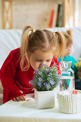 Image showing Little girls in soft warm pajamas playing at home