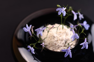 Image showing Small blue flower