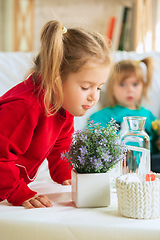 Image showing Little girls in soft warm pajamas playing at home