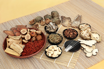 Image showing Chinese Herbs with Acupuncture Needles