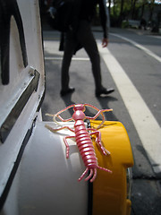 Image showing Toy Bug at Crosswalk