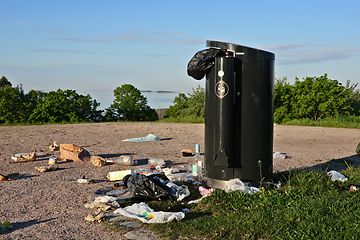 Image showing Litter in the Park 