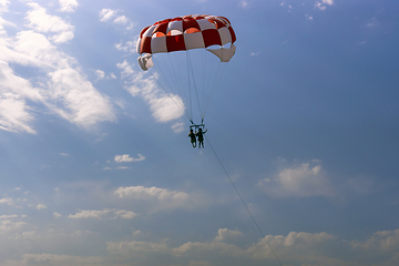 Image showing Lovers of extreme recreation, fly by parachute in sky above sea surface