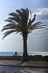 Image showing Silhouette of man with two sun loungers on resort sea beach near palm tree