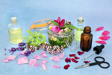 Image showing  Natural Herbal Medicine for Naturopathic Remedies 