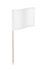 Image showing White toothpick flag