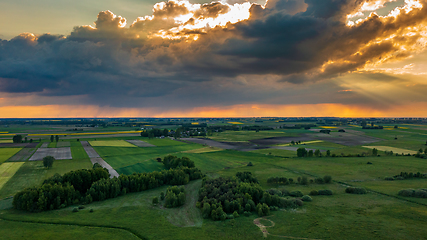 Image showing Field with trees landscape from aerial