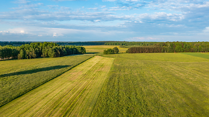 Image showing Meadow with trees landscape from aerial