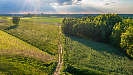 Image showing Field with trees landscape from aerial