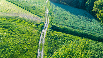 Image showing Dirt road landscape from aerial