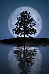 Image showing Full moon with tree lake reflections