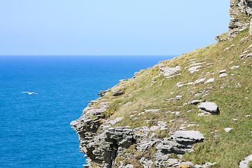 Image showing cornwall rough coast