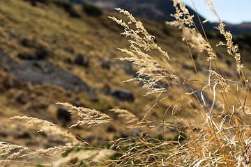 Image showing Beautiful autumn landscape