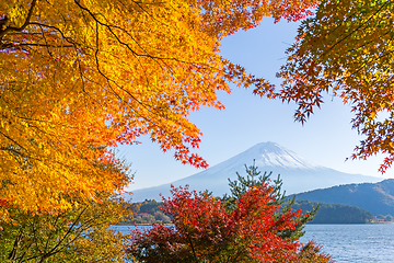 Image showing Mount fuji at lake with maple