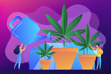 Image showing Cannabis cultivation concept vector illustration.