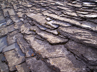 Image showing Shale roof