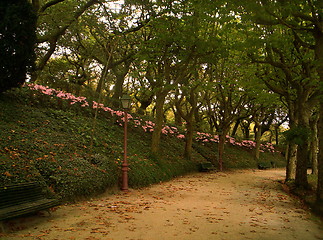 Image showing Public garden in park